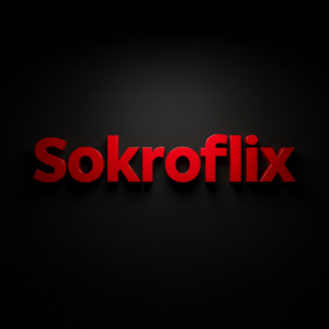 image fond noir avec "sokroflix" écrit en rouge dessus